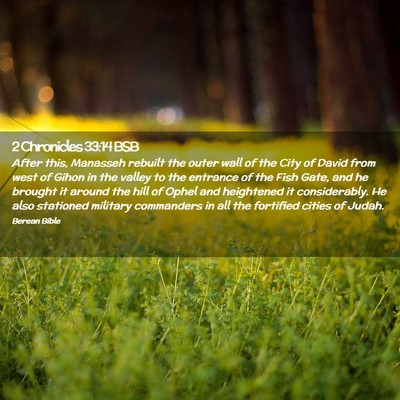 Picture 02 - 2 Chronicles 33:14 BSB - After this, Manasseh rebuilt the outer wall of - Bible Verse Picture