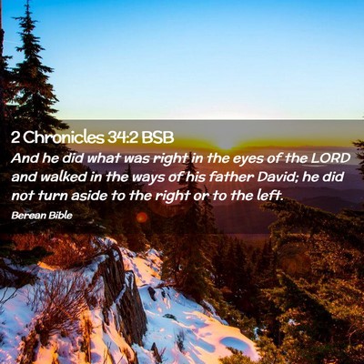 Picture 02 - 2 Chronicles 34:2 BSB - And he did what was right in the eyes of the LORD - Bible Verse Picture