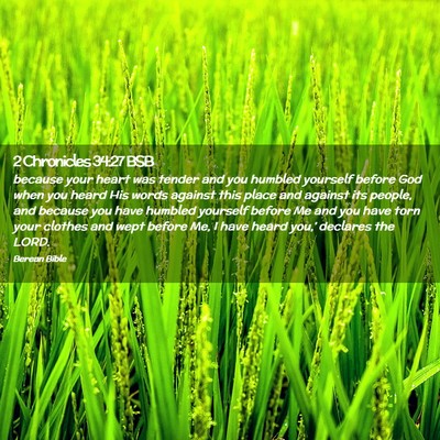 Picture 02 - 2 Chronicles 34:27 BSB - because your heart was tender and you humbled - Bible Verse Picture