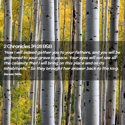 Picture 02 - 2 Chronicles 34:28 BSB - ‘Now I will indeed gather you to your fathers, - Bible Verse Picture