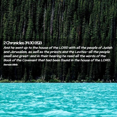 Picture 02 - 2 Chronicles 34:30 BSB - And he went up to the house of the LORD with all - Bible Verse Picture