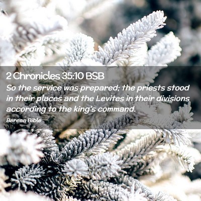 Picture 02 - 2 Chronicles 35:10 BSB - So the service was prepared; the priests stood in - Bible Verse Picture
