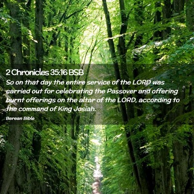 Picture 02 - 2 Chronicles 35:16 BSB - So on that day the entire service of the LORD was - Bible Verse Picture