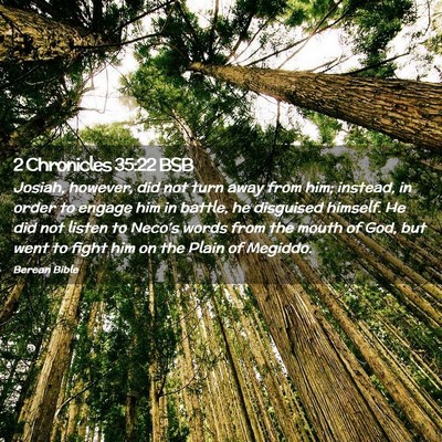 Picture 02 - 2 Chronicles 35:22 BSB - Josiah, however, did not turn away from him; - Bible Verse Picture
