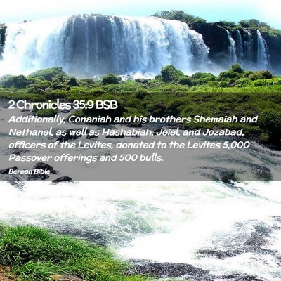 Picture 02 - 2 Chronicles 35:9 BSB - Additionally, Conaniah and his brothers Shemaiah - Bible Verse Picture