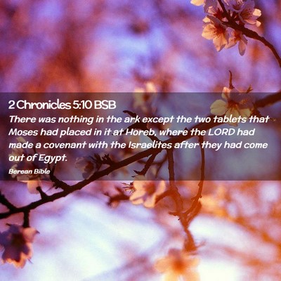 Picture 02 - 2 Chronicles 5:10 BSB - There was nothing in the ark except the two - Bible Verse Picture