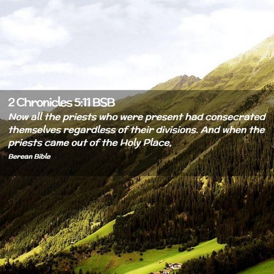 Picture 02 - 2 Chronicles 5:11 BSB - Now all the priests who were present had - Bible Verse Picture