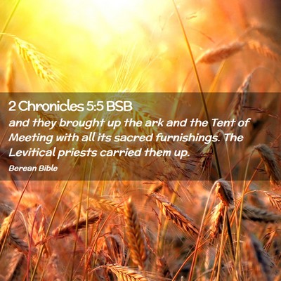 Picture 02 - 2 Chronicles 5:5 BSB - and they brought up the ark and the Tent of - Bible Verse Picture