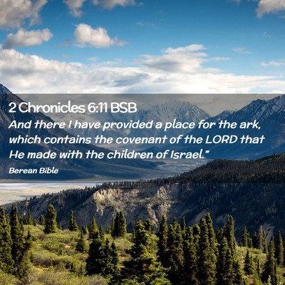 Picture 02 - 2 Chronicles 6:11 BSB - And there I have provided a place for the ark, - Bible Verse Picture