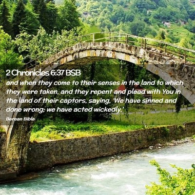 Picture 02 - 2 Chronicles 6:37 BSB - and when they come to their senses in the land to - Bible Verse Picture