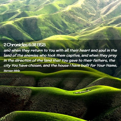 Picture 02 - 2 Chronicles 6:38 BSB - and when they return to You with all their heart - Bible Verse Picture