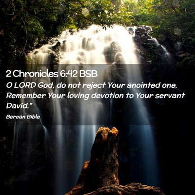 Picture 02 - 2 Chronicles 6:42 BSB - O LORD God, do not reject Your anointed one. - Bible Verse Picture