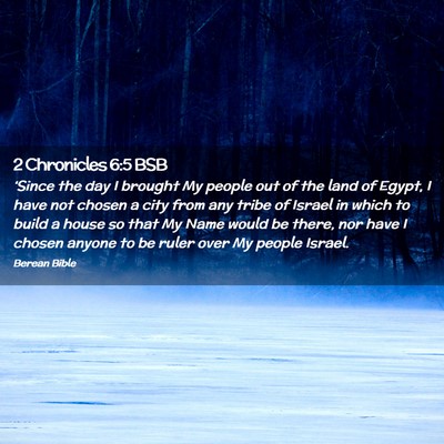 Picture 02 - 2 Chronicles 6:5 BSB - ‘Since the day I brought My people out of the - Bible Verse Picture