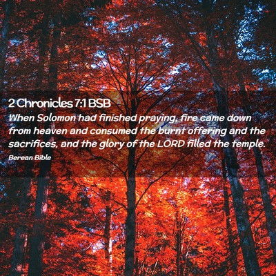 Picture 02 - 2 Chronicles 7:1 BSB - When Solomon had finished praying, fire came down - Bible Verse Picture