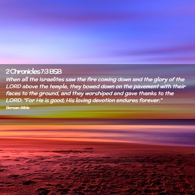 Picture 02 - 2 Chronicles 7:3 BSB - When all the Israelites saw the fire coming down - Bible Verse Picture