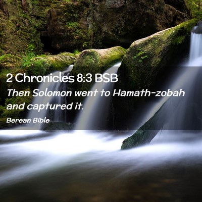 Picture 02 - 2 Chronicles 8:3 BSB - Then Solomon went to Hamath-zobah and captured - Bible Verse Picture
