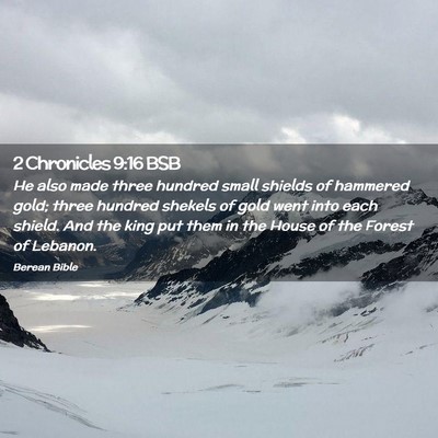 Picture 02 - 2 Chronicles 9:16 BSB - He also made three hundred small shields of - Bible Verse Picture