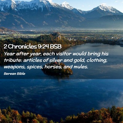 Picture 02 - 2 Chronicles 9:24 BSB - Year after year, each visitor would bring his - Bible Verse Picture