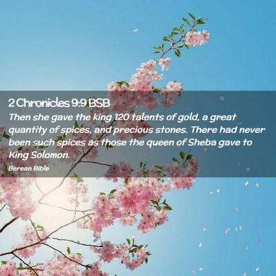 Picture 02 - 2 Chronicles 9:9 BSB - Then she gave the king 120 talents of gold, a - Bible Verse Picture