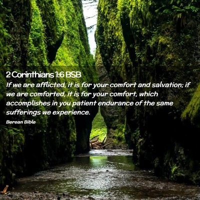 Picture 02 - 2 Corinthians 1:6 BSB - If we are afflicted, it is for your comfort and - Bible Verse Picture