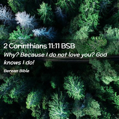 Picture 02 - 2 Corinthians 11:11 BSB - Why? Because I do not love you? God knows I - Bible Verse Picture