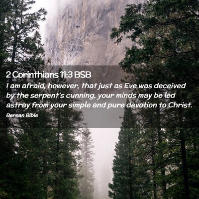 Picture 02 - 2 Corinthians 11:3 BSB - I am afraid, however, that just as Eve was - Bible Verse Picture