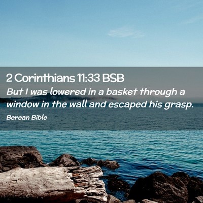 Picture 02 - 2 Corinthians 11:33 BSB - But I was lowered in a basket through a window in - Bible Verse Picture