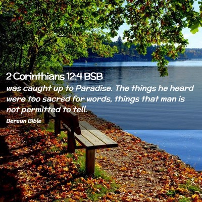 Picture 02 - 2 Corinthians 12:4 BSB - was caught up to Paradise. The things he heard - Bible Verse Picture