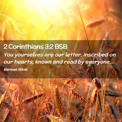 Picture 02 - 2 Corinthians 3:2 BSB - You yourselves are our letter, inscribed on our - Bible Verse Picture