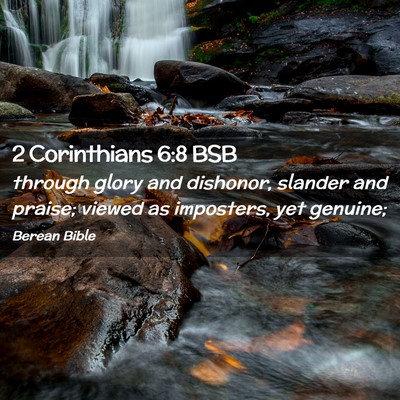 Picture 02 - 2 Corinthians 6:8 BSB - through glory and dishonor, slander and praise; - Bible Verse Picture