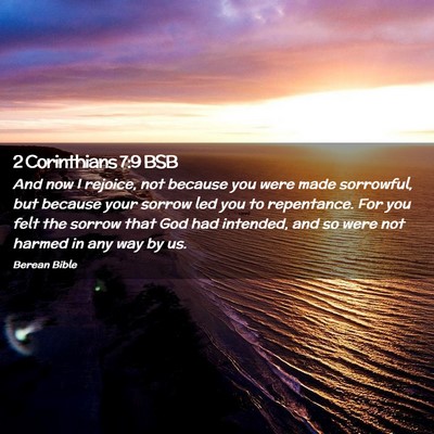 Picture 02 - 2 Corinthians 7:9 BSB - And now I rejoice, not because you were made - Bible Verse Picture