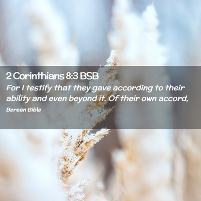 Picture 02 - 2 Corinthians 8:3 BSB - For I testify that they gave according to their - Bible Verse Picture