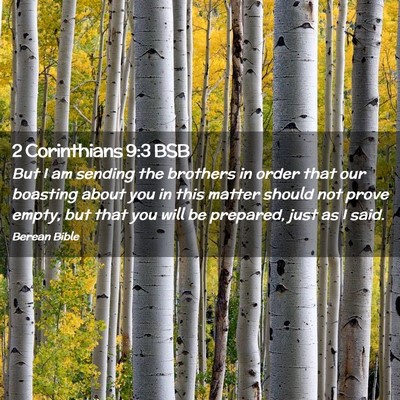 Picture 02 - 2 Corinthians 9:3 BSB - But I am sending the brothers in order that our - Bible Verse Picture