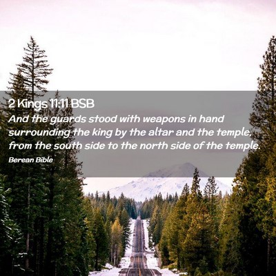Picture 02 - 2 Kings 11:11 BSB - And the guards stood with weapons in hand - Bible Verse Picture