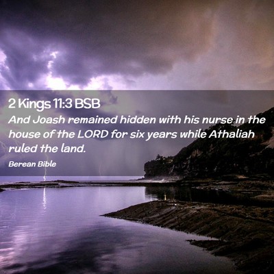 Picture 02 - 2 Kings 11:3 BSB - And Joash remained hidden with his nurse in the - Bible Verse Picture