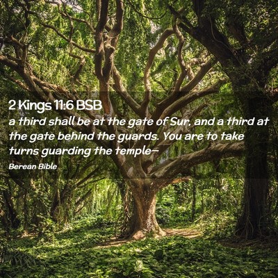 Picture 02 - 2 Kings 11:6 BSB - a third shall be at the gate of Sur, and a third - Bible Verse Picture