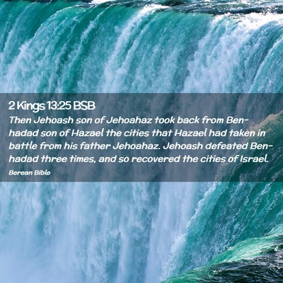 Picture 02 - 2 Kings 13:25 BSB - Then Jehoash son of Jehoahaz took back from - Bible Verse Picture
