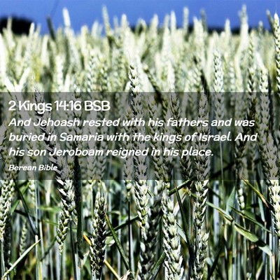 Picture 02 - 2 Kings 14:16 BSB - And Jehoash rested with his fathers and was - Bible Verse Picture
