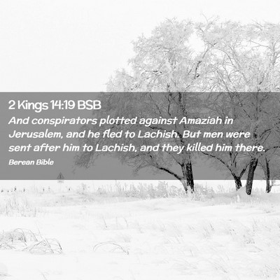 Picture 02 - 2 Kings 14:19 BSB - And conspirators plotted against Amaziah in - Bible Verse Picture