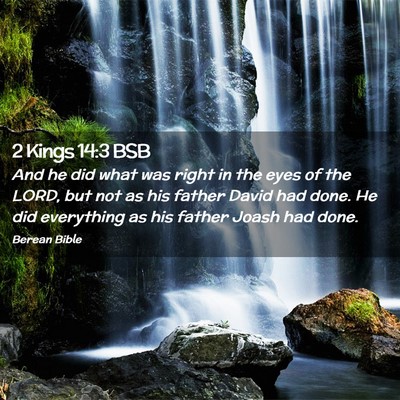 Picture 02 - 2 Kings 14:3 BSB - And he did what was right in the eyes of the - Bible Verse Picture