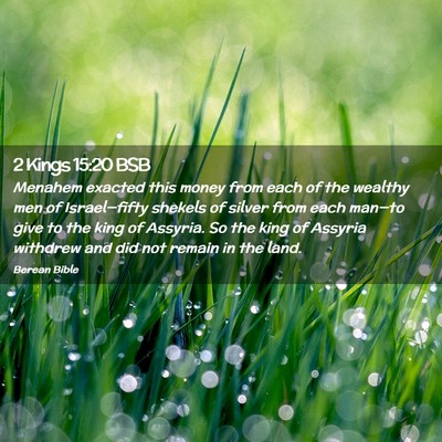 Picture 02 - 2 Kings 15:20 BSB - Menahem exacted this money from each of the - Bible Verse Picture