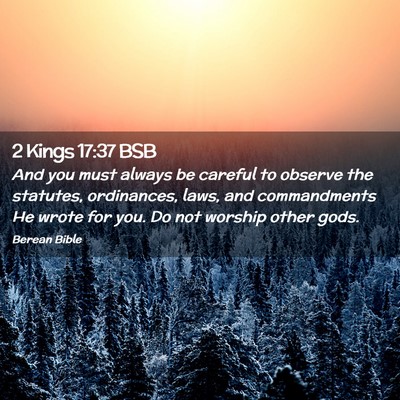 Picture 02 - 2 Kings 17:37 BSB - And you must always be careful to observe the - Bible Verse Picture