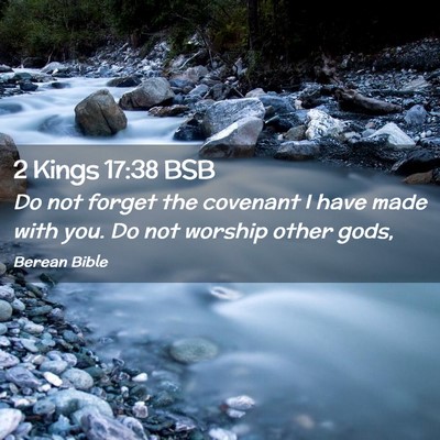 Picture 02 - 2 Kings 17:38 BSB - Do not forget the covenant I have made with you. - Bible Verse Picture