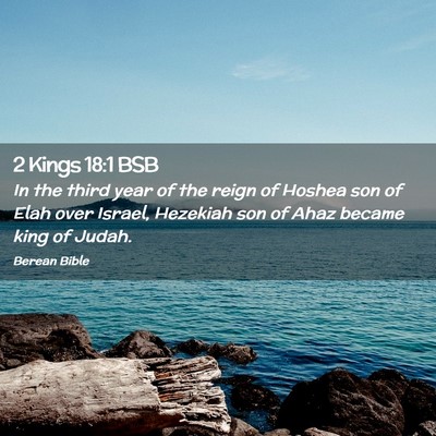 Picture 02 - 2 Kings 18:1 BSB - In the third year of the reign of Hoshea son of - Bible Verse Picture