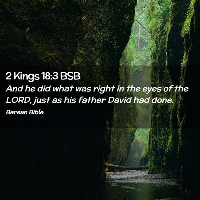 Picture 02 - 2 Kings 18:3 BSB - And he did what was right in the eyes of the - Bible Verse Picture