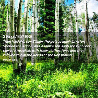 Picture 02 - 2 Kings 18:37 BSB - Then Hilkiah’s son Eliakim the palace - Bible Verse Picture
