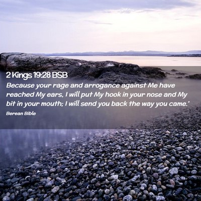 Picture 02 - 2 Kings 19:28 BSB - Because your rage and arrogance against Me have - Bible Verse Picture