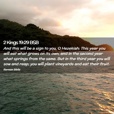 Picture 02 - 2 Kings 19:29 BSB - And this will be a sign to you, O Hezekiah: This - Bible Verse Picture