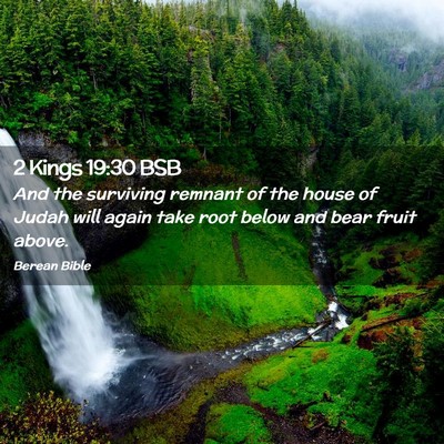 Picture 02 - 2 Kings 19:30 BSB - And the surviving remnant of the house of Judah - Bible Verse Picture