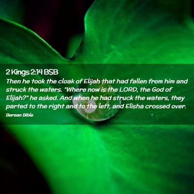 Picture 02 - 2 Kings 2:14 BSB - Then he took the cloak of Elijah that had fallen - Bible Verse Picture